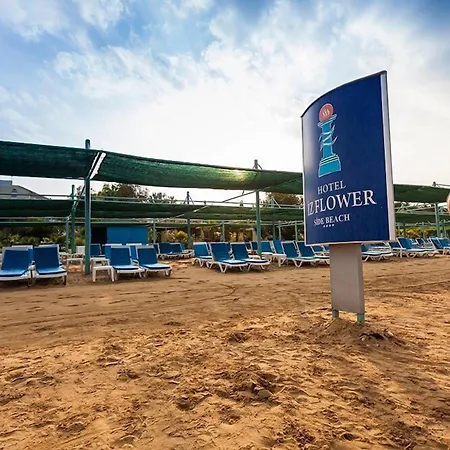 Szálloda Iz Flower 4*