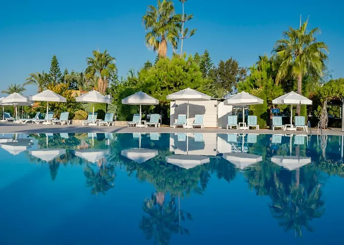 Iz Flower Σιντέ