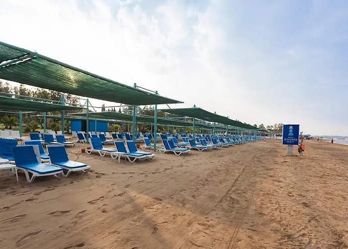 Iz Flower Σιντέ